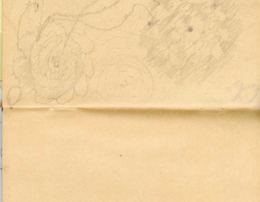 Diary 1910