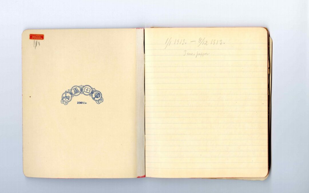 Diary 1913 Jan-1913 Dec