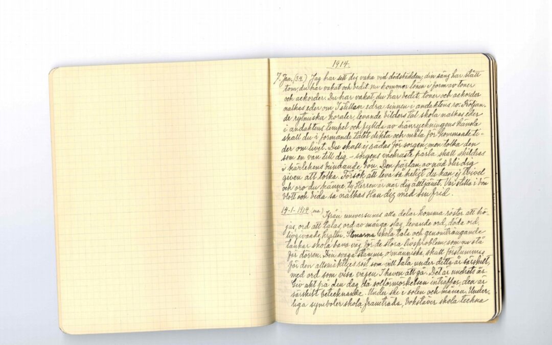 Diary 1914 Jan-Aug & Clippings