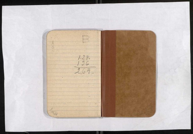 Diary 1916 Aug-Nov